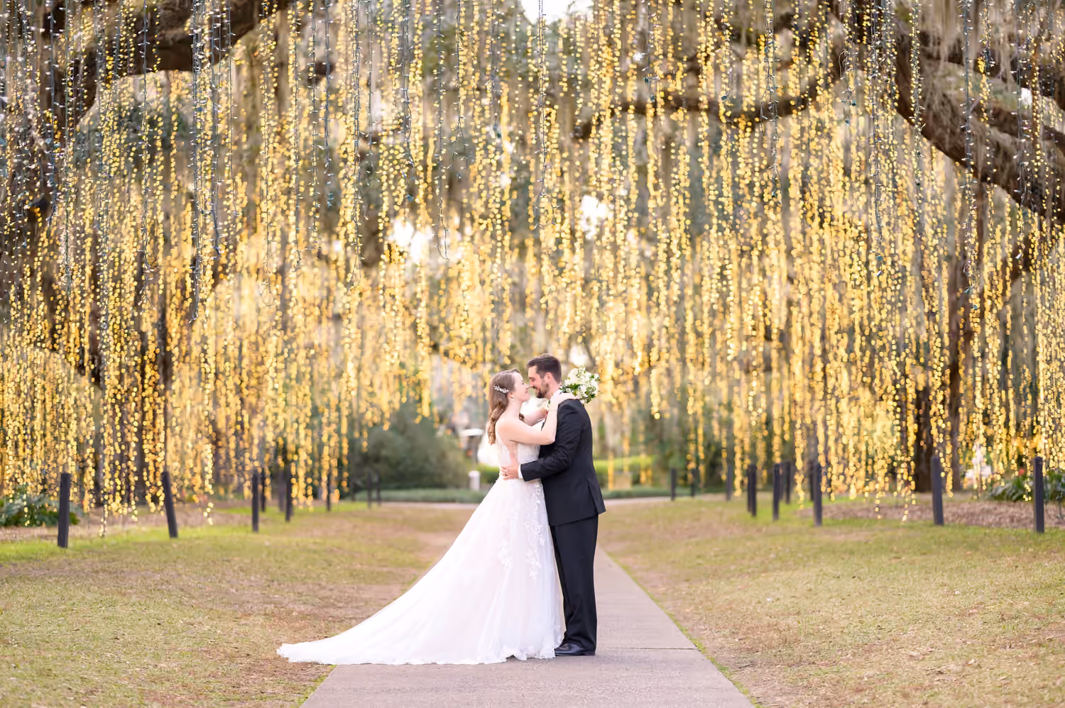 Bride and groom beneath hanging lights and oak trees at Brookgreen Gardens.