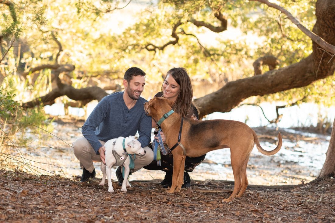 Couple having fun with their dogs Vereen Memorial Gardens