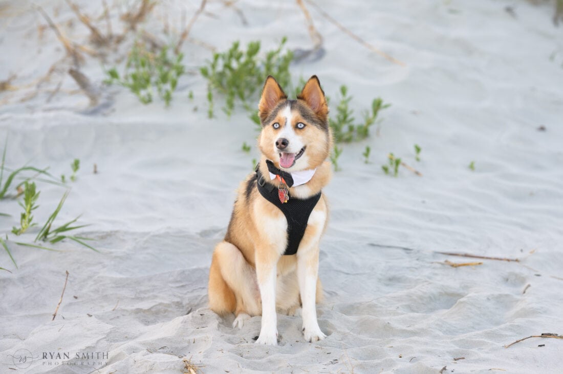 Intimate wedding at Cherry Grove Point in North Myrtle Beach