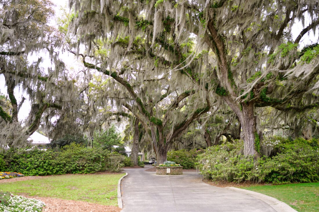 Windy wedding day at Caledonia Golf & Fish Club in Pawleys Island