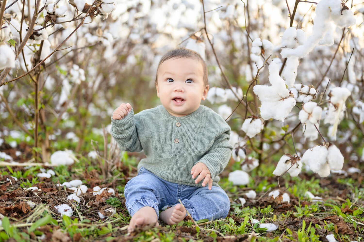 Baby boy sitting in the cotton - Upper Mill Plantation