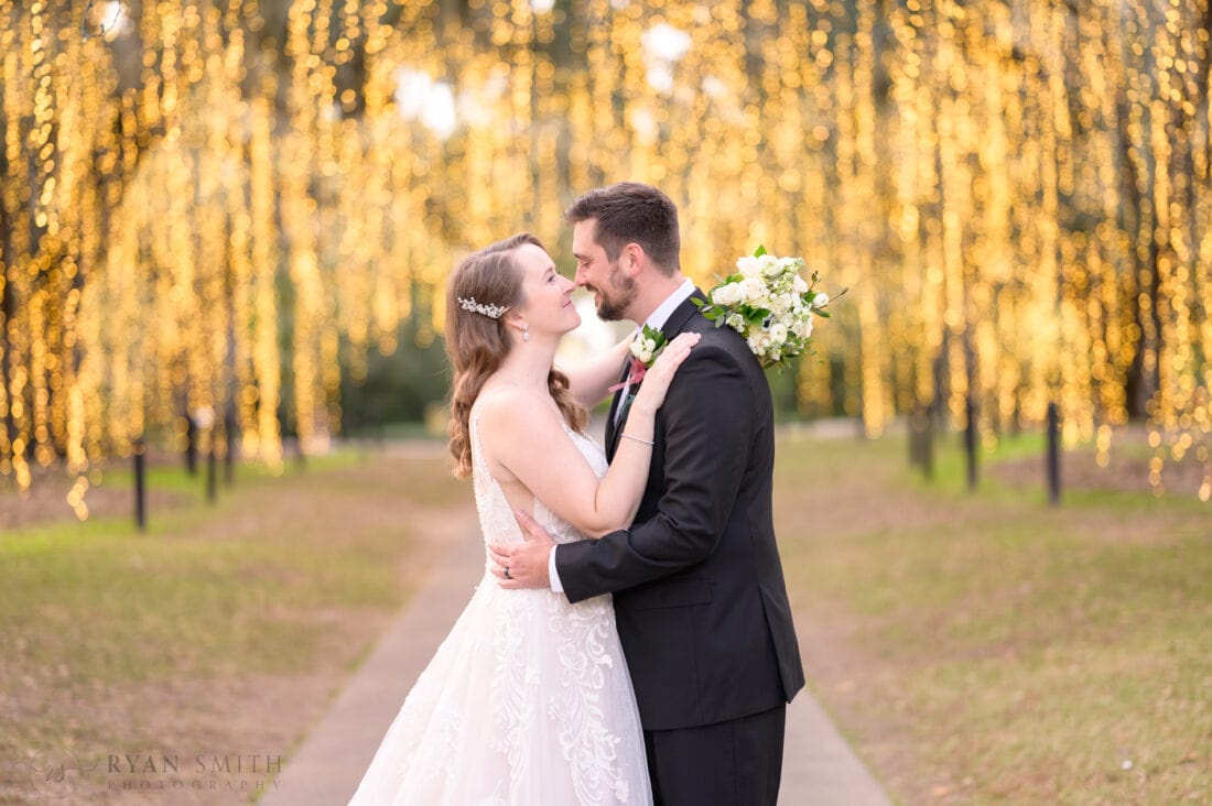 Touching noses - Oak Allee - Night of a Thousand Candles - Brookgreen Gardens