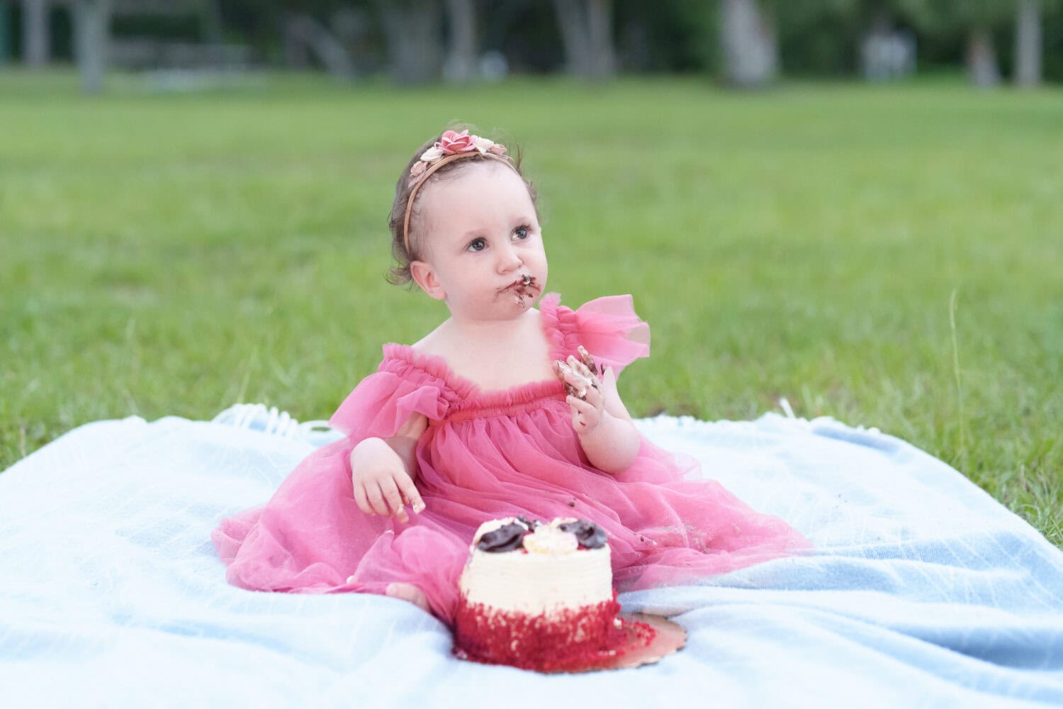 Cake smash at the end of the session - Huntington Beach State Park - Pawleys Island