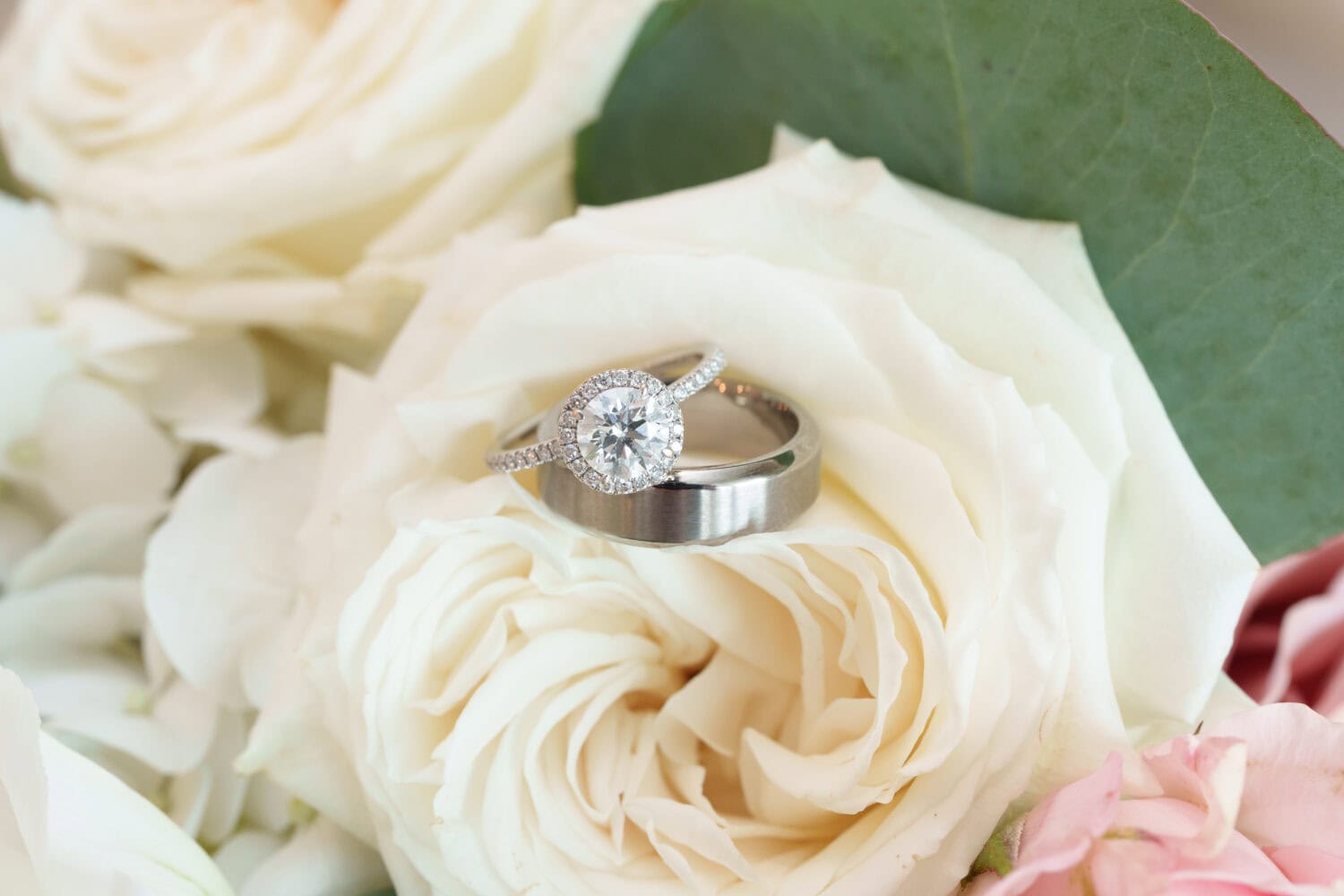 Rings on the flowers - Dunes Golf & Beach Club