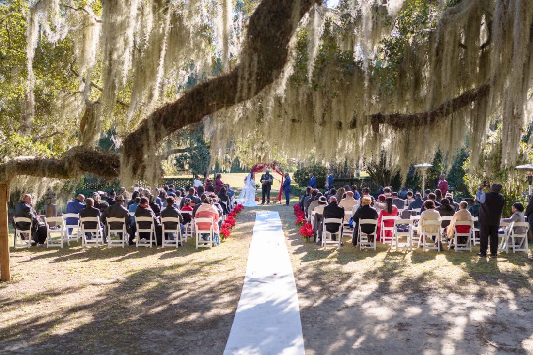 Beautiful moss hanging from the trees - Wedgefield Country Club