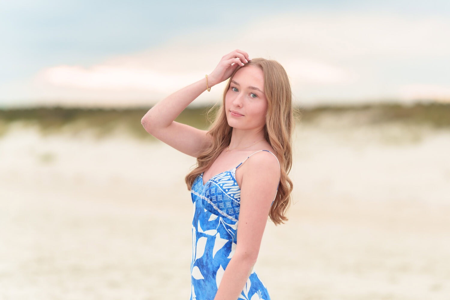 Closeup with a little sunset in the background - Huntington Beach State Park - Pawleys Island