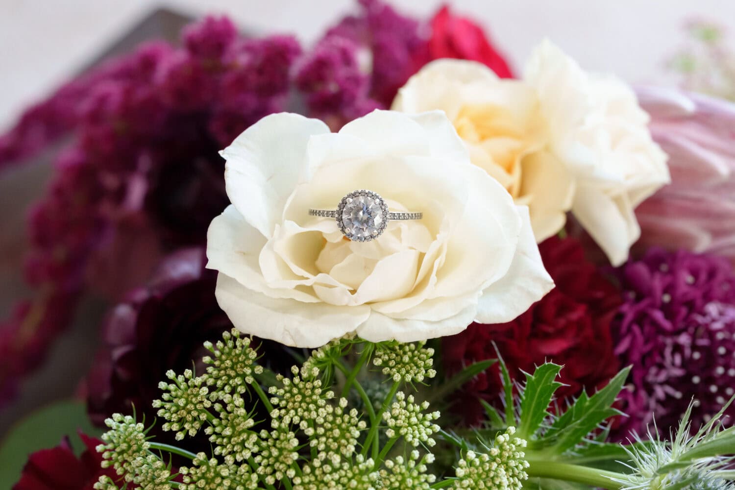 Rings on the flowers - The Cypress Inn - Conway, SC