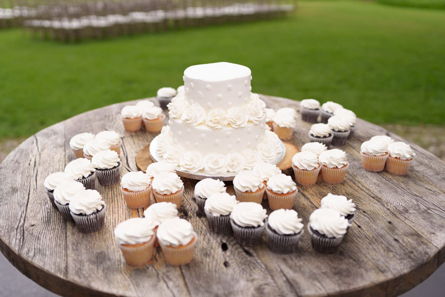 Cake and cupcakes - Wildhorse at Parker Farms